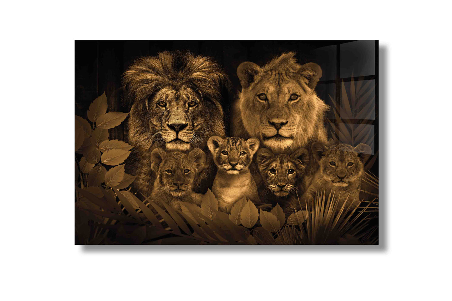 Lion family ( meer welpen)