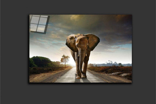 Elephant on the road