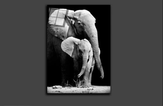 Elephants Love.