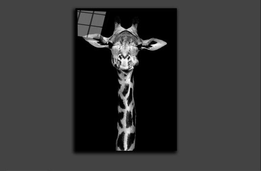 The giraffe